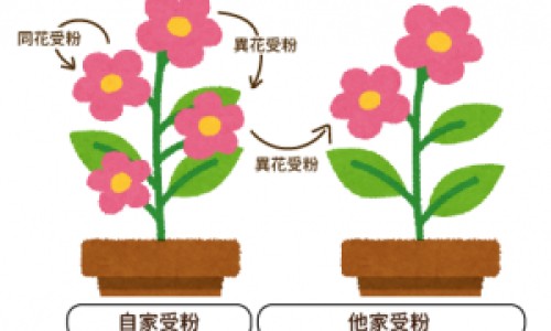 失血性休克和低血容量性休克的区别-失血性休克与低血容量休克的区别在于-失血性休克的分度标准,中国失血性休克与低血容量休克的区别网站
